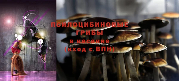 героин Новодвинск