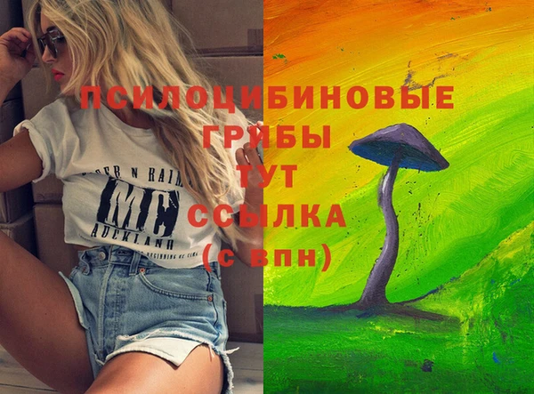 героин Новодвинск
