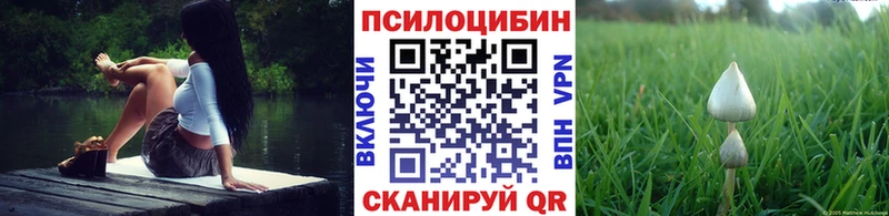 даркнет сайт  Тара  hydra маркетплейс  Псилоцибиновые грибы Psilocybine cubensis 