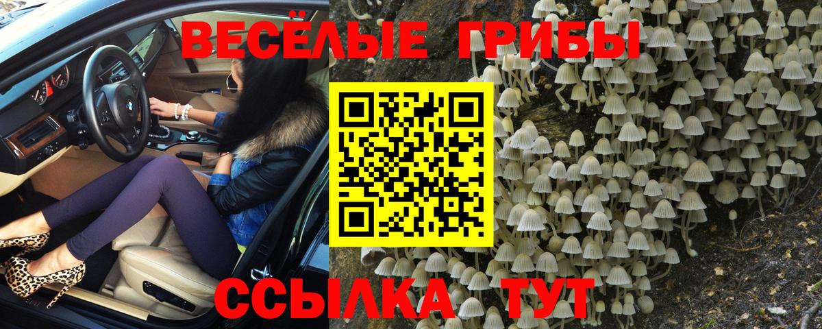 Галлюциногенные грибы Cubensis Тара