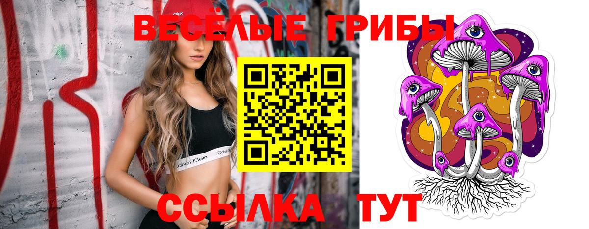 Галлюциногенные грибы MAGIC MUSHROOMS  Псилоцибиновые грибы мицелий  Вход с VPN  Тара 